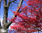 20111125_02.jpg