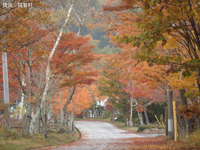 治部坂高原紅葉