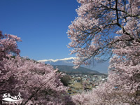 高遠城址公園