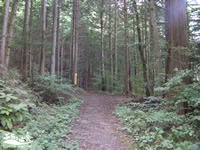 はびろ自然遊歩道（仲仙寺）