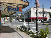 新井商店街