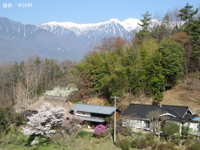 春の茅葺屋