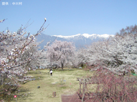 大草城址公園