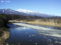 冬の天竜川