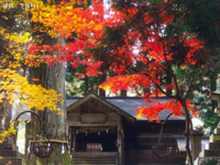 大山田神社