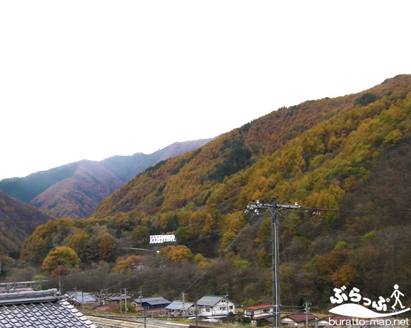 20101109kisomura02.jpg