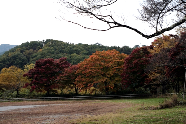 20101102takatou01.JPG