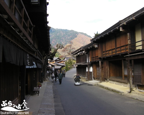 tsumagojuku03b.jpg