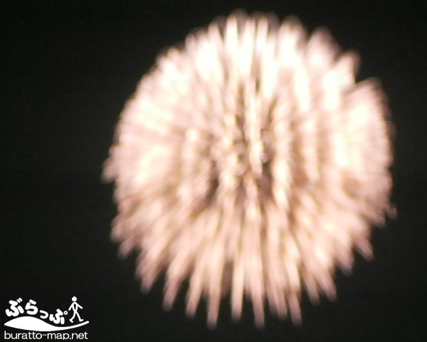 20101221-hanabi02.jpg