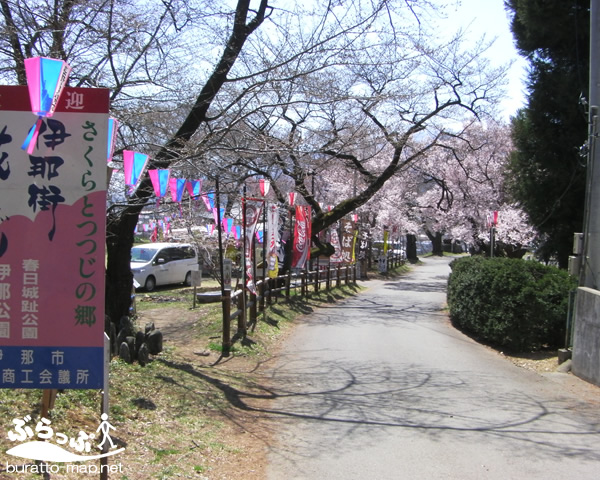 inakouen_sakura02.jpg