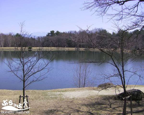 komagaike_sakura41401.jpg