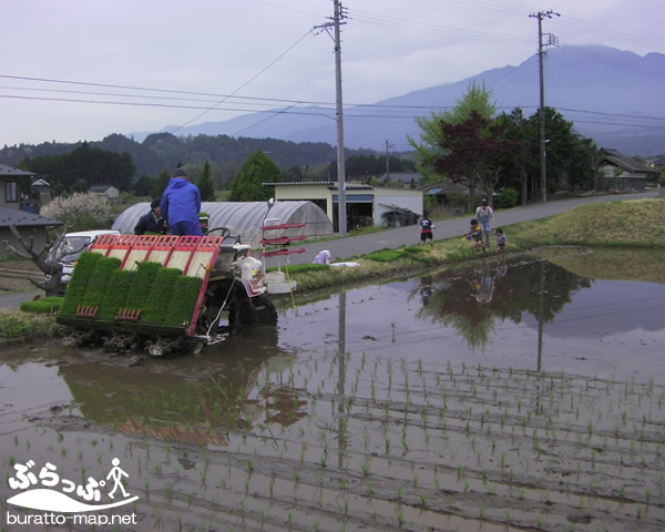 taue11509.jpg