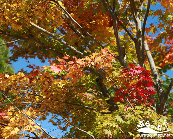 20111019_kaida01.jpg