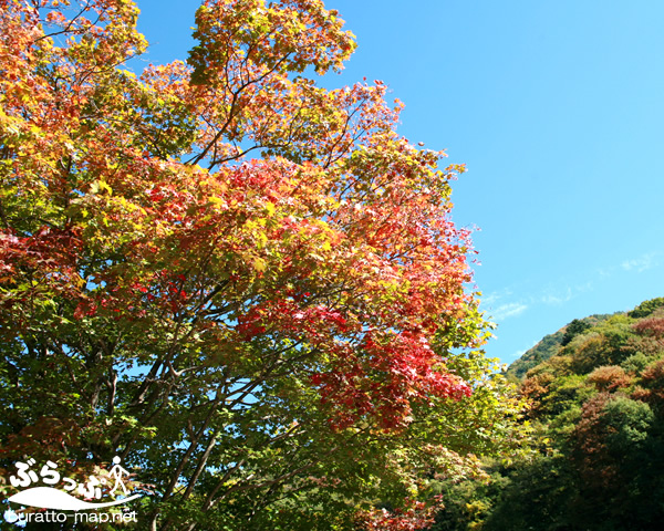 20111019_narai03.jpg