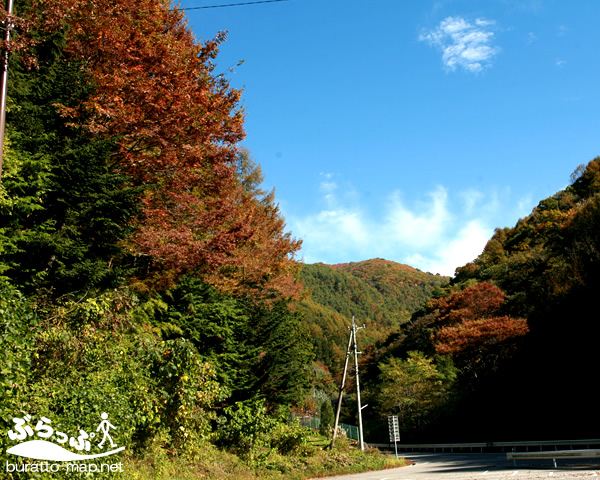 20111019gonbe01.jpg