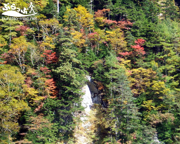 kouyo20111018_04.jpg