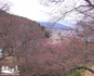 sakura12takato05007.jpg