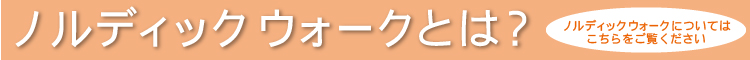 ノルディックウォークとは？