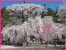 瑠璃寺（高森町）