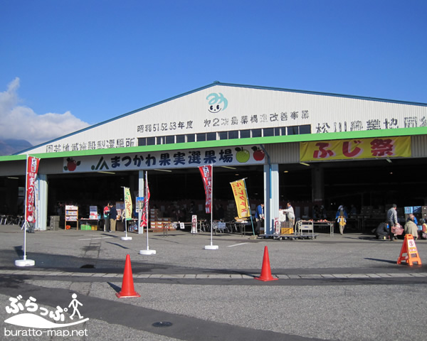 スポット情報：くだものいっぱい まつかわ ふじ祭り 長野県｜南信州｜田舎自然ポータルサイト「ぶらっぷ」